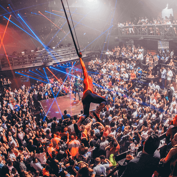 Coco Bongo Gold Member