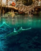 Scape Park Alta Bus-1