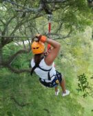MG-ZIP LINE 09